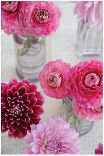 Dahlias from A Creative Mint