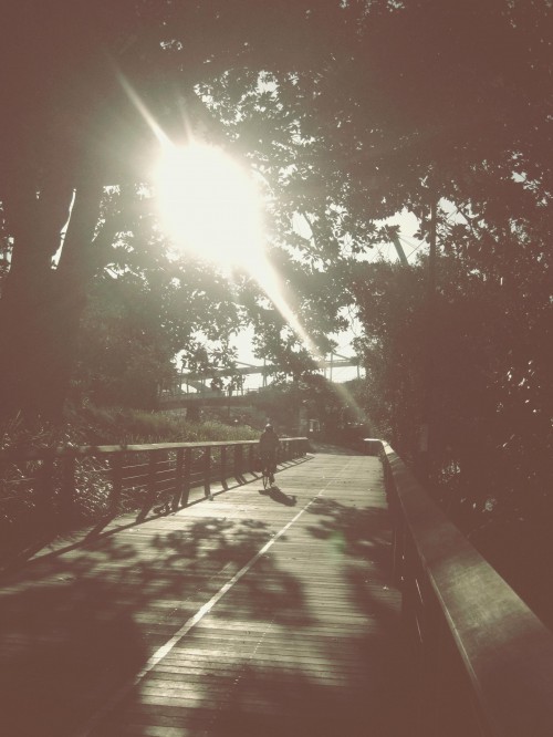 An overly edited photograph of a sun dappled walkway with the sun shining through tree branches. A bicyclist rides away from the viewer.