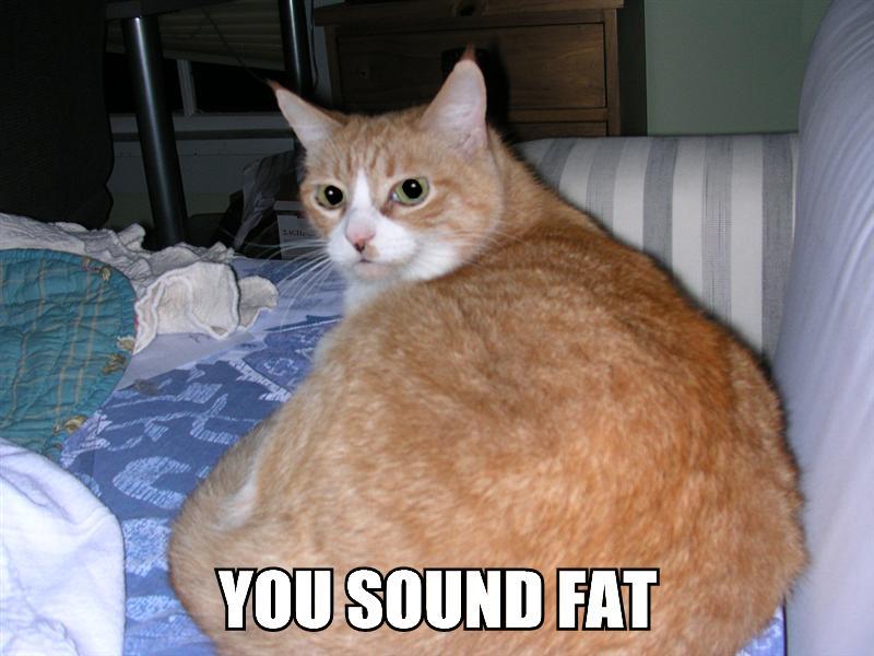 A lolcat image macro of a fat ginger cat with the text "YOU SOUND FAT" across the bottom of the photo.